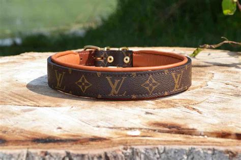 Stylish Dog Collars: Louis Vuitton Design by MAddY MaC Blue